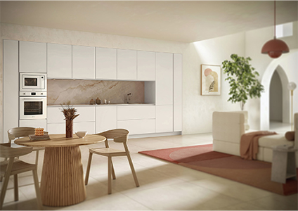 cuisine-ouverte-salon-don-pablo